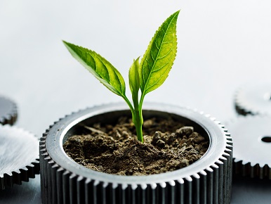 placeholder-image Sustainability